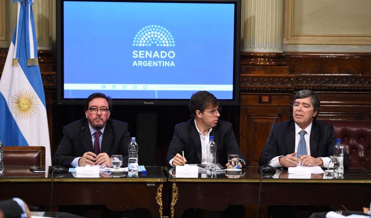 Representantes de Cámaras Empresarias expusieron en el Senado sobre el proyecto de ley en revisión del Regimen de Responsabilidad Penal Empresaria. (FOTO: CHARLY DÍAZ AZCUÉ/ COMUNICACIÓN INSTITUCIONAL)